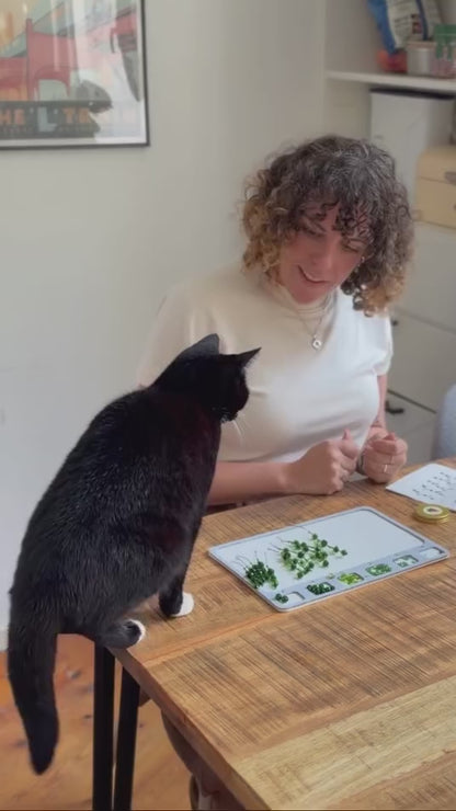 Maak thuis je eigen kralenplant - Zwarte knoppen